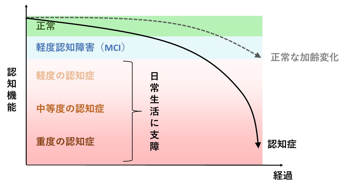認知症の進行